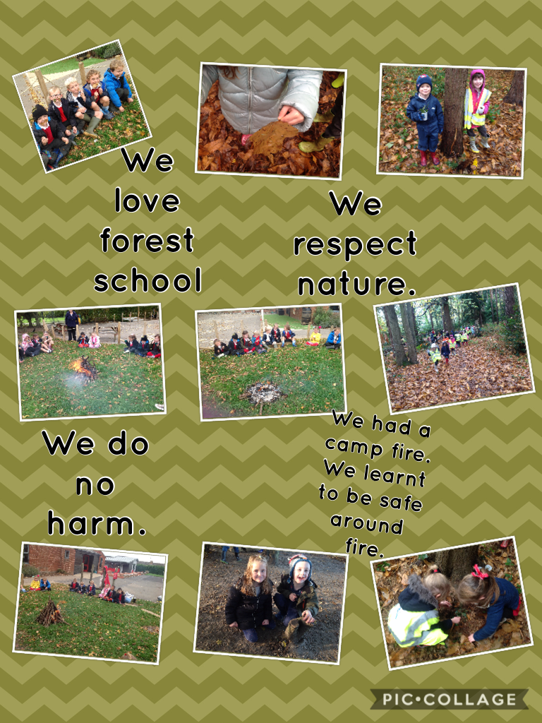Forest Schools Final