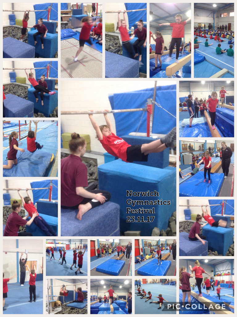 Norwich Gymnastics Festival 2017